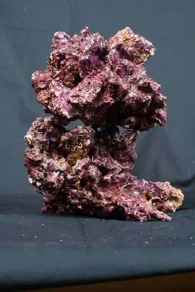 Real Reef Rock; Trucking 10+ boxes all inclusive with Freight and Box Charge - Corals