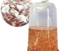 Artemia; Adult Brine 1 OUNCE - Invertebrates