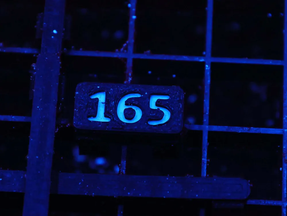 Z165 – - Saltwater