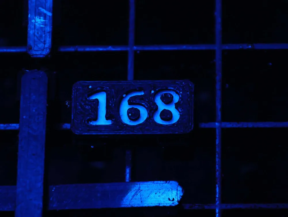 Z168 – - Saltwater