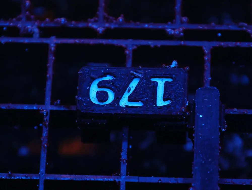 Z179 – - Saltwater