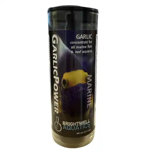 Brightwell Aquatics Garlic Power 60 mL - Maintenance & Accessories