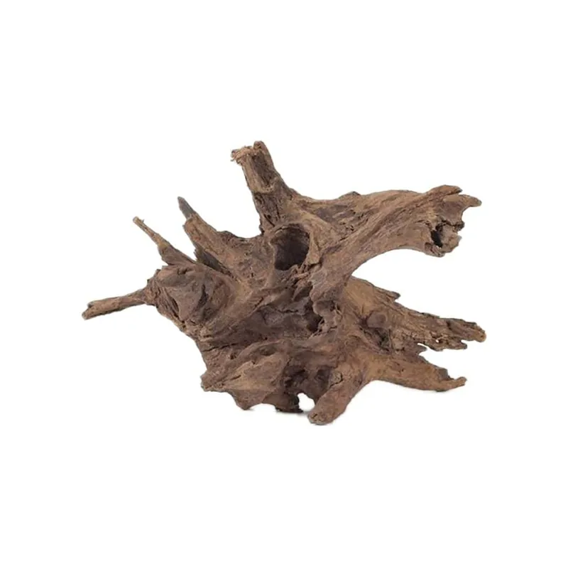 Malaysian Driftwood – XXL (27″-31″)