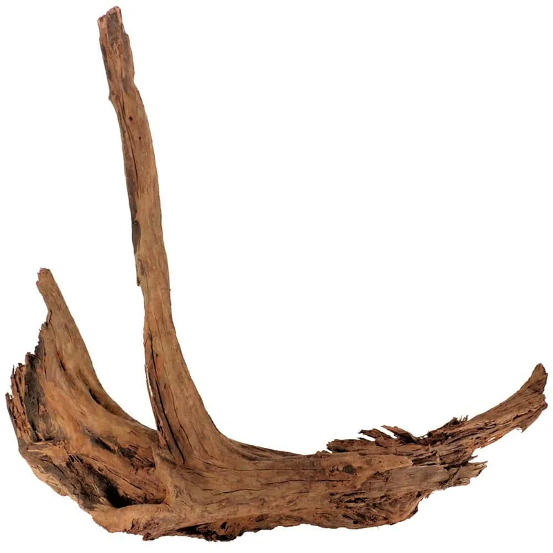 Malaysian Driftwood – XXXL (40″-51″)