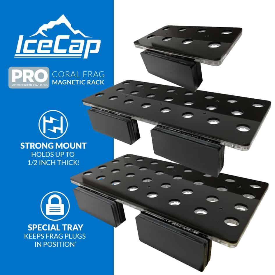 IceCap Small PRO 8 Magnetic Coral Frag Rack - Propagation & Frag Supplies