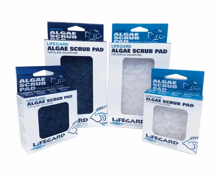Algae Scrub PAD 4″ x 6″ For Glass Aquariums Lifegard Aquatics - Maintenance & Accessories