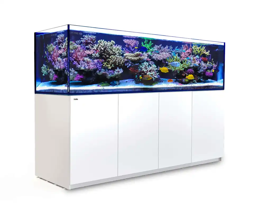 Reefer 900 G2+ (White) - Aquariums
