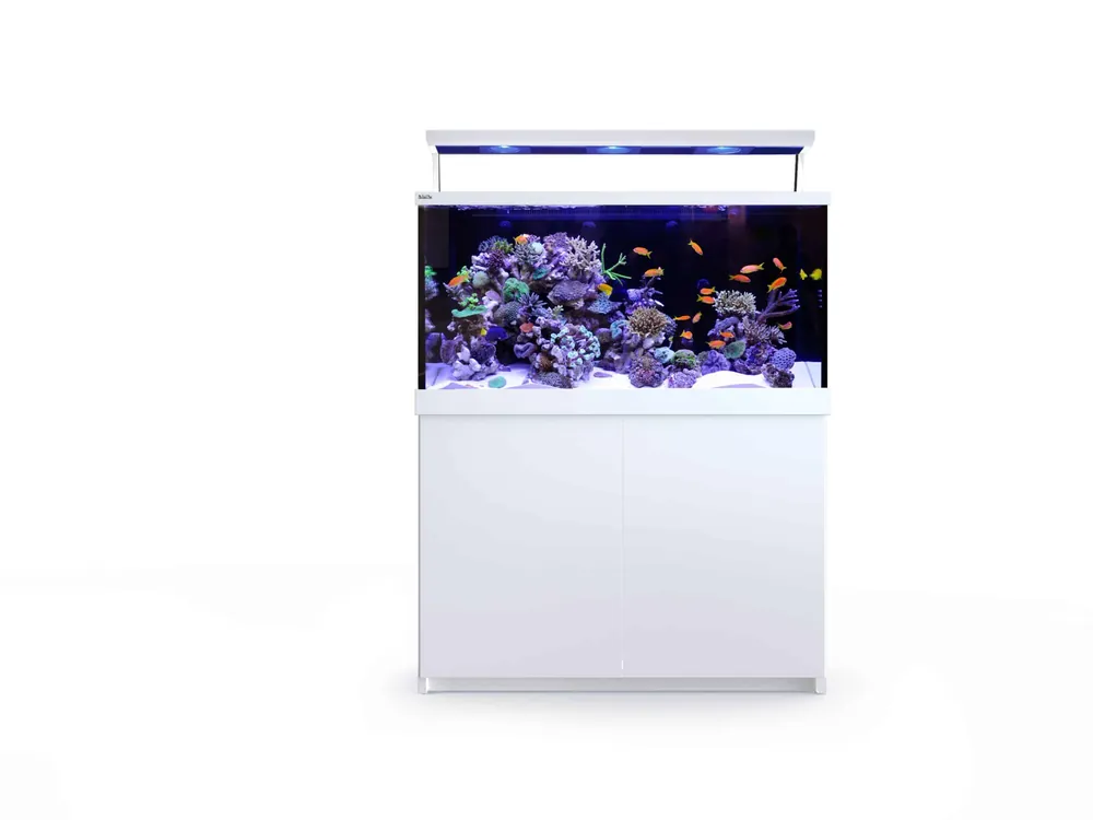 Red Sea Max S 500 LED Complete Reef System (132 Gal) – White - Aquariums