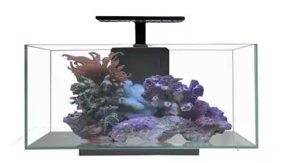 JBJ Rimless Desktop 10 Gallon Flat Panel W/ Lyra 10w LED Aquarium - Aquariums