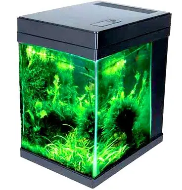 JBJ Nanocube 3 Gallon Cubey in Black - Aquariums