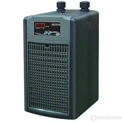 1/5 JBJ Chiller HP Arctica -115V