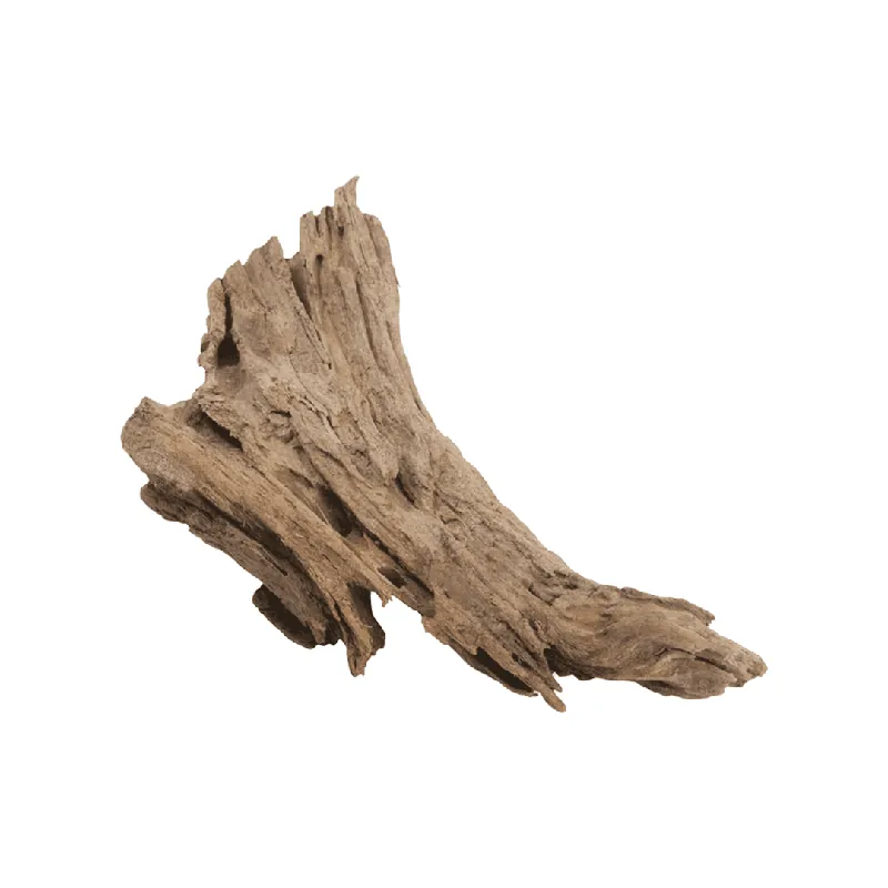 Malaysian Driftwood – Small (7.9″-9.8″)