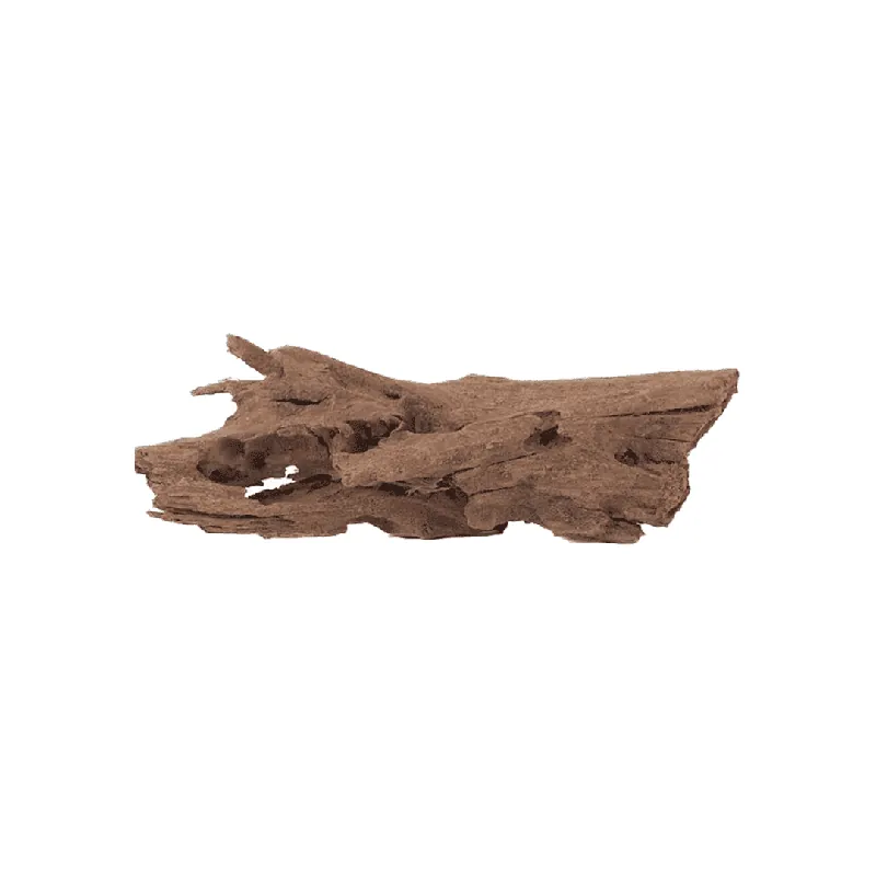 Malaysian Driftwood – XL (24″-27″)