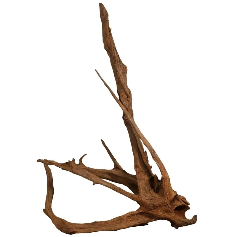 Malaysian Driftwood – Super (55″-62″)