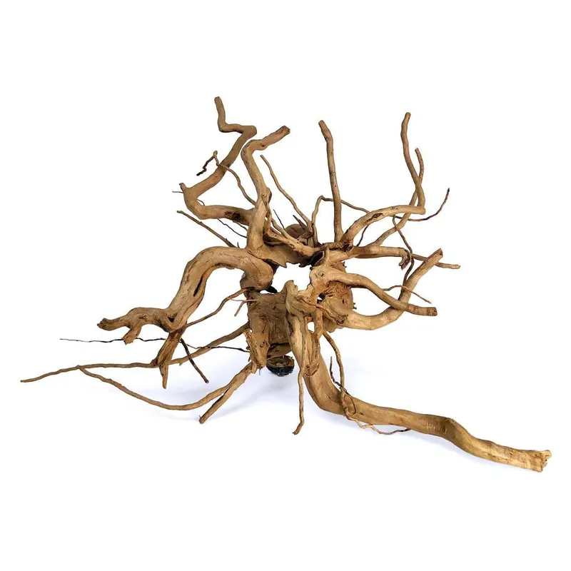 Spider Wood – Medium Large (15.5″-19.75″)