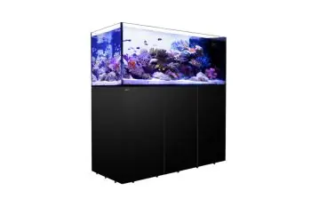 Reefer Peninsula Deluxe 500 G2+ System w/ 3x ReefLED 115 (109 Gal) – Black Red Sea - Aquariums