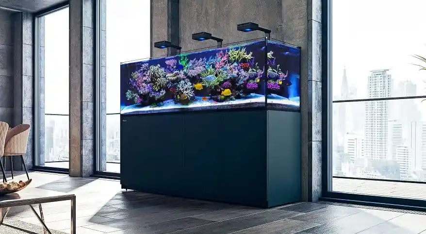 Reefer-S 850 G2+ Deluxe – Black (incl. 3 X RL 170 & mounting arms)