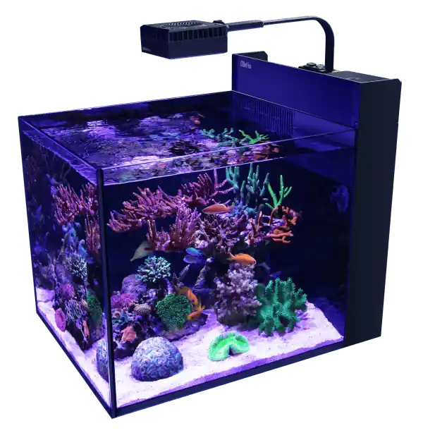 MAX Nano Peninsula G2 – excl. cabinet - Aquariums