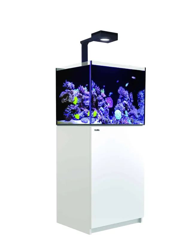 Reefer 170 G2+ Deluxe System – White (incl.1 x RL 115 & Mount arm) - Aquariums