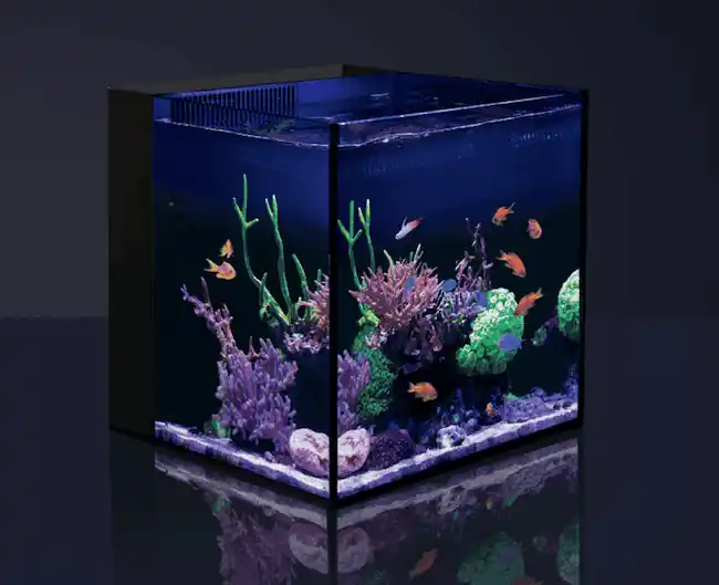 Red Sea- Desktop Cube with cabinet – White