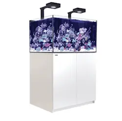 Reefer XL300 G2+ Deluxe System – White (incl. 2x RL115 & Mount Arms) - Aquariums