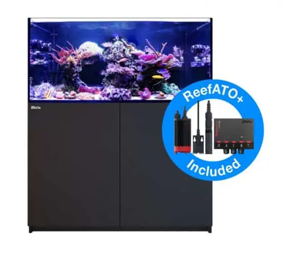 Reefer MAX 350 G2+ System (72 Gal) – Black Red Sea - Aquariums