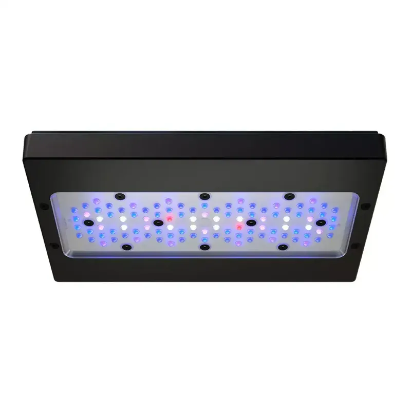 Radion XR30 G6 Blue LED Light Fixture - Lighting