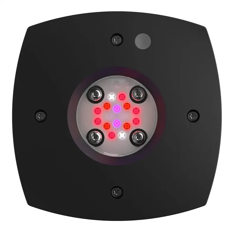 Aquaillumination Prime 16 LED Fuge Light in Black - Lighting