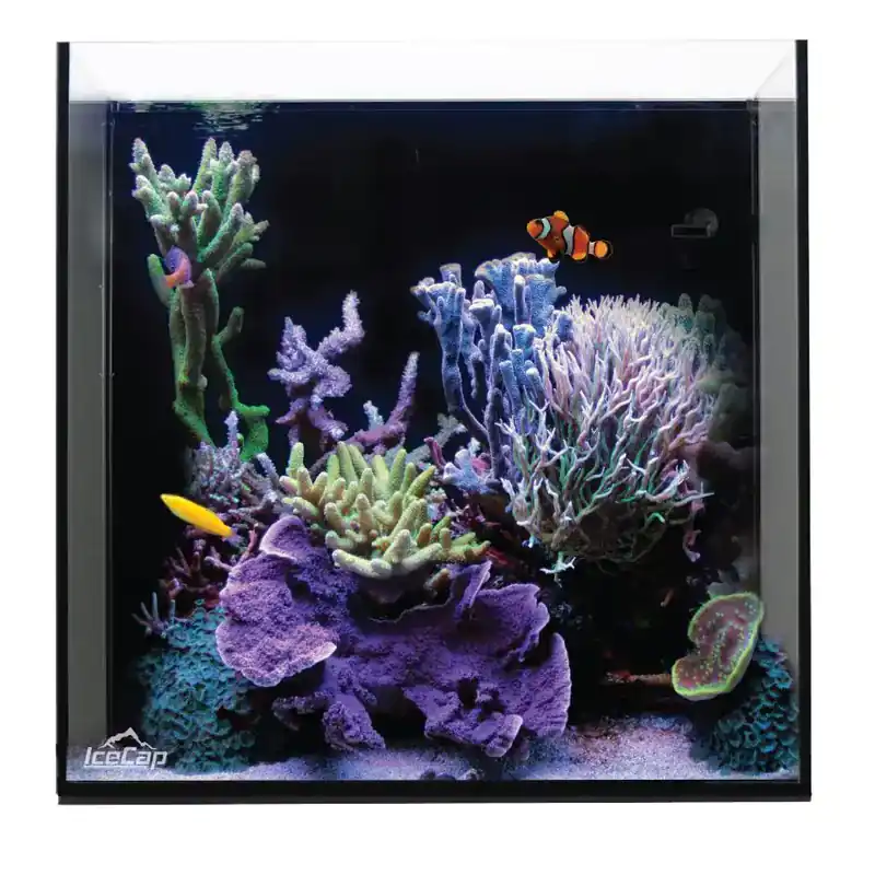IceCap 20 Gallon Cube AIO Rimless Glass Aquarium - Aquariums