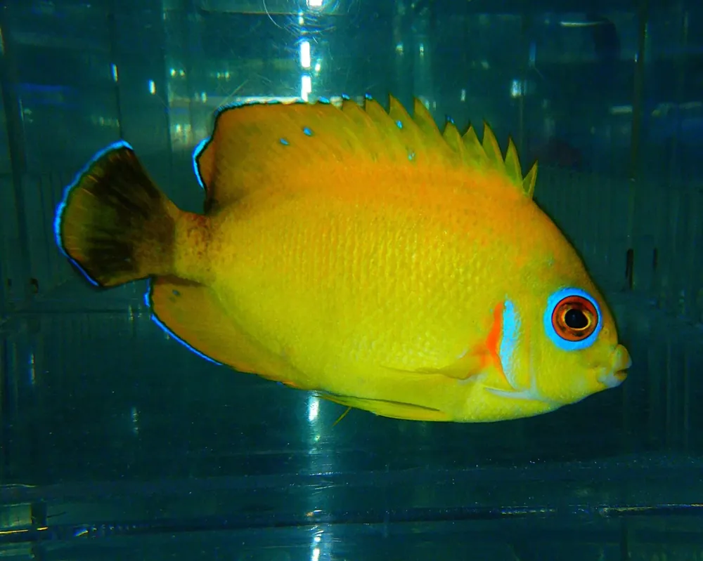 F08 – - Saltwater