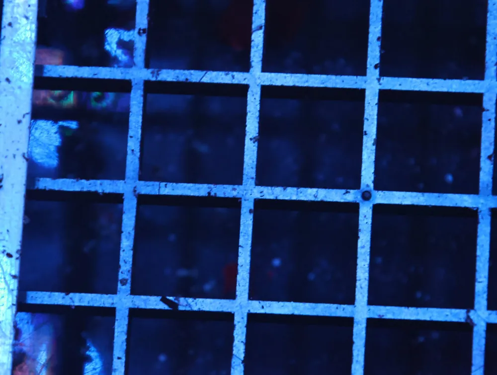 H126 – - Saltwater