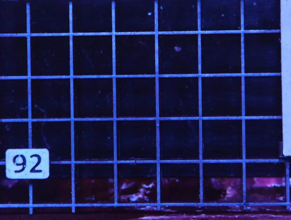 H92 – - Saltwater