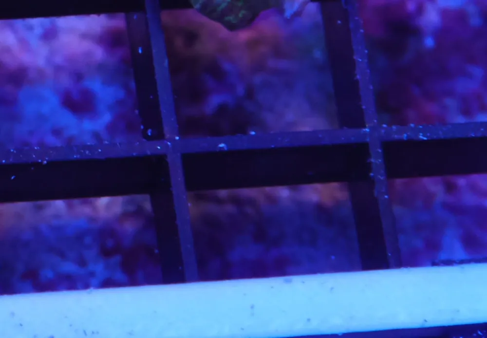 K14 – - Saltwater