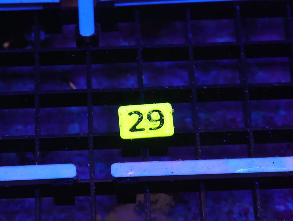K29 – - Saltwater