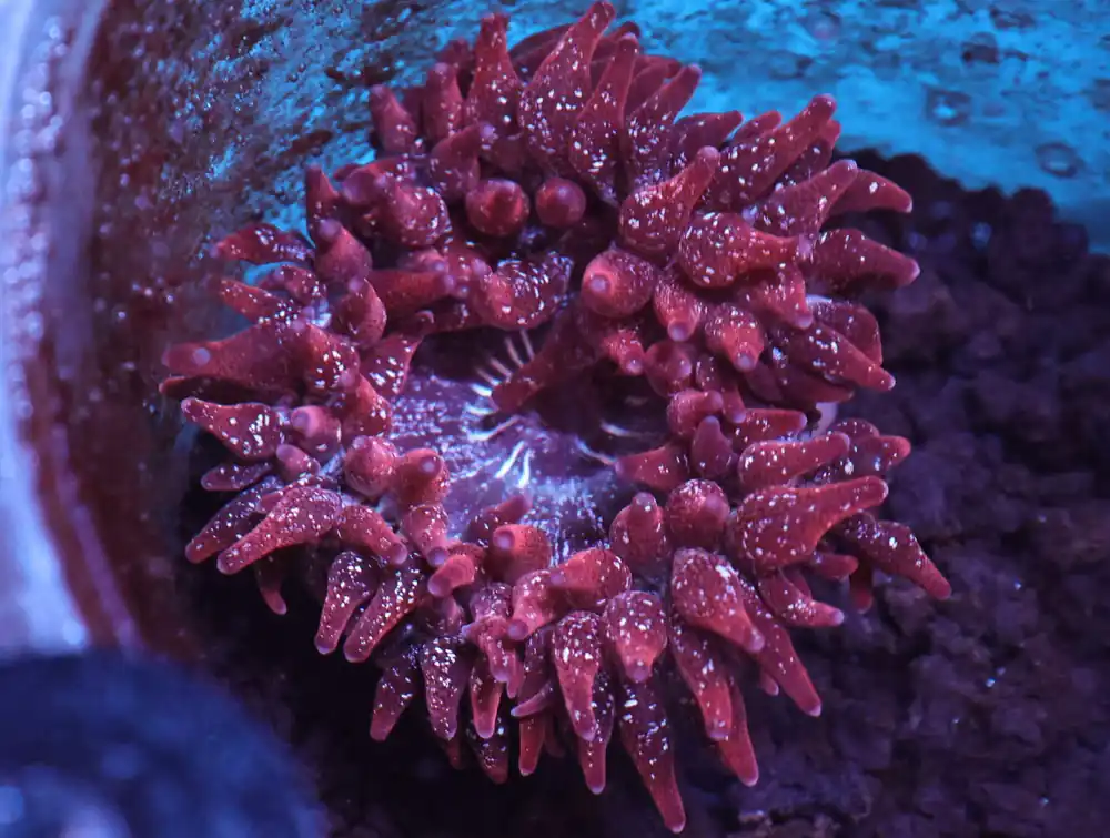 M03 – - Saltwater
