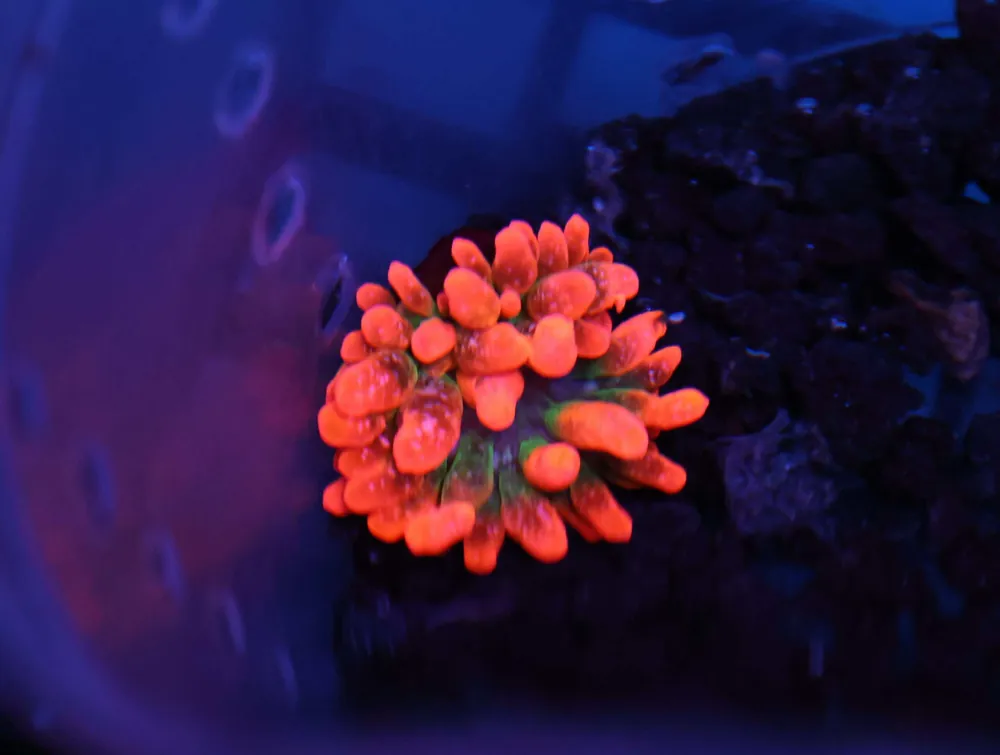M08 – - Saltwater