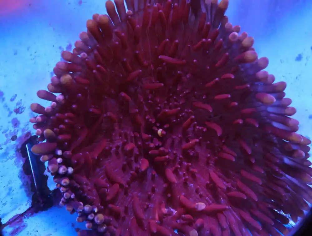M10 – - Saltwater