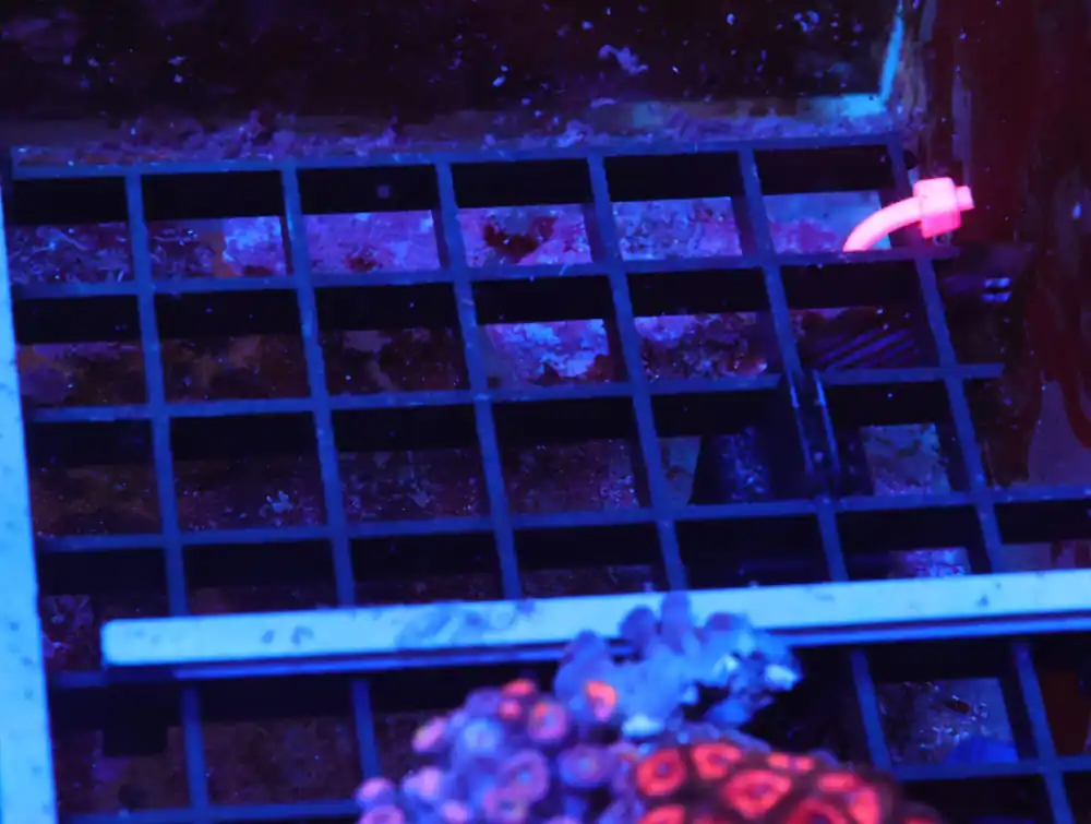 X140 – - Saltwater