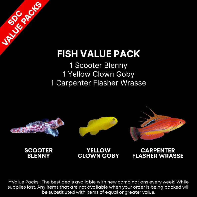 Fish Pack – 1ea. Six Line Wrasse; Yellow Watchman; Lawnmower Blenny – Limit 2 - Coral Value Packs