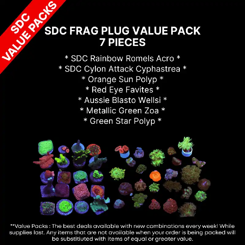 Frag Plug Value Pack - 5 Assorted SDC Cultured or Conditioned Frag Plugs - Limit 3