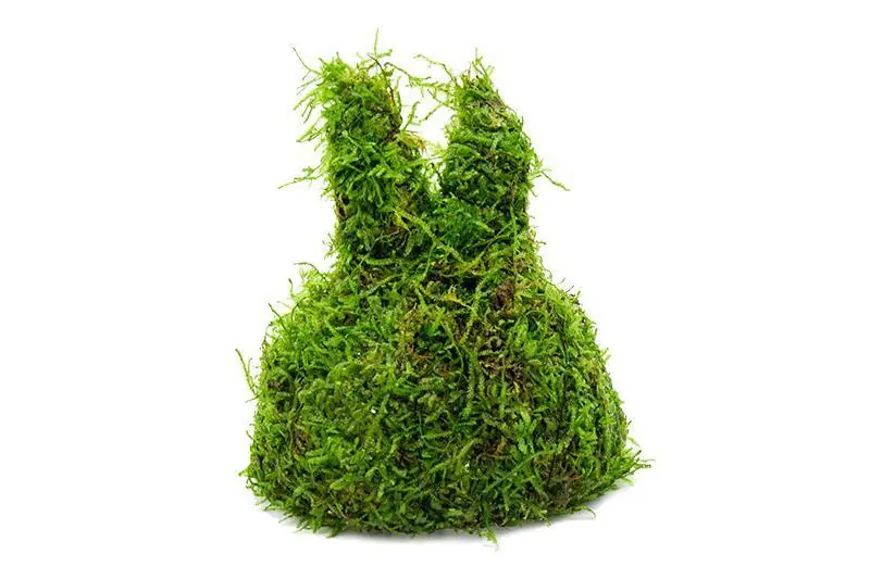 Christmas Moss on Coconut Rabbit - ACW