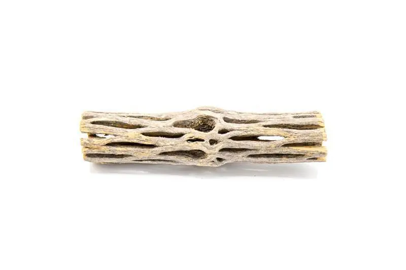 Cholla Driftwood Sticks - ASA