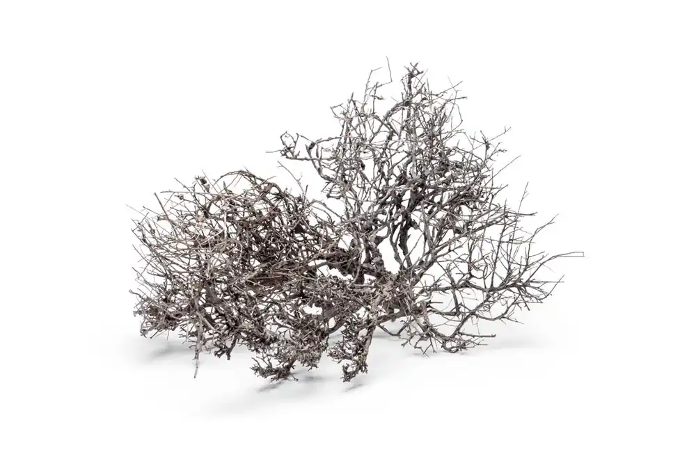 Driftwood Tree Branches - UNSHARDSCAPE