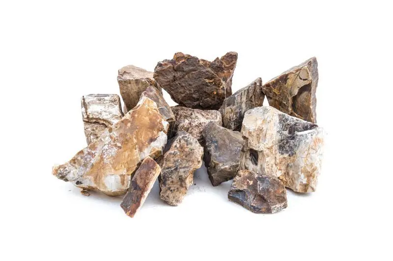 Petrified Wood - UNSHARDSCAPE