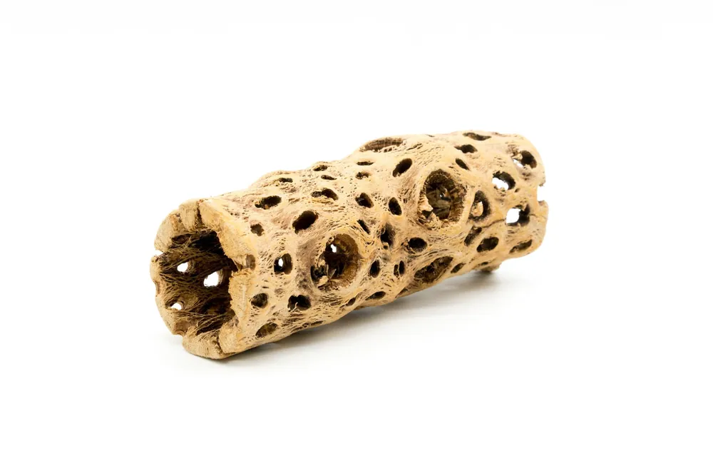 Cholla Driftwood Tunnel Tube - ASA