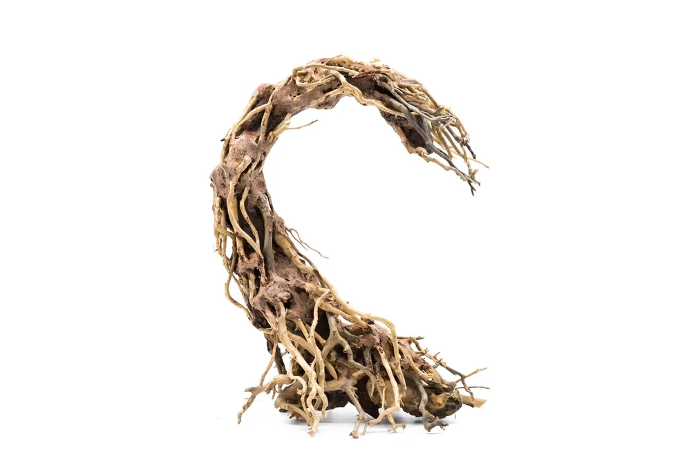 Crescent Shaped Bonsai Tree Aquarium Driftwood - UNSBONSAI