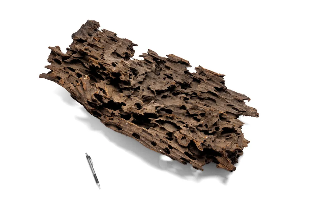 Dragon Wood Showpiece (DW07) - UNSHARDSCAPE