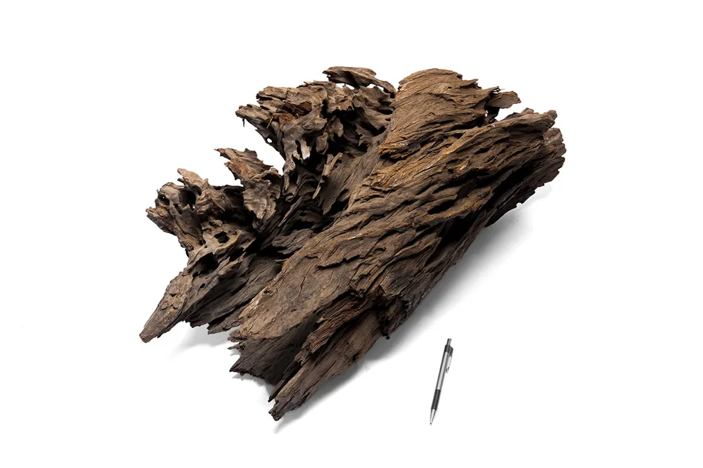 Dragon Wood Showpiece (DW13) - UNSHARDSCAPE