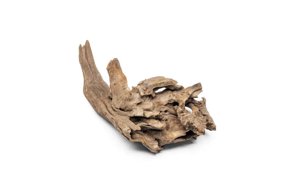 Pacific Driftwood Stump - UNSHARDSCAPE