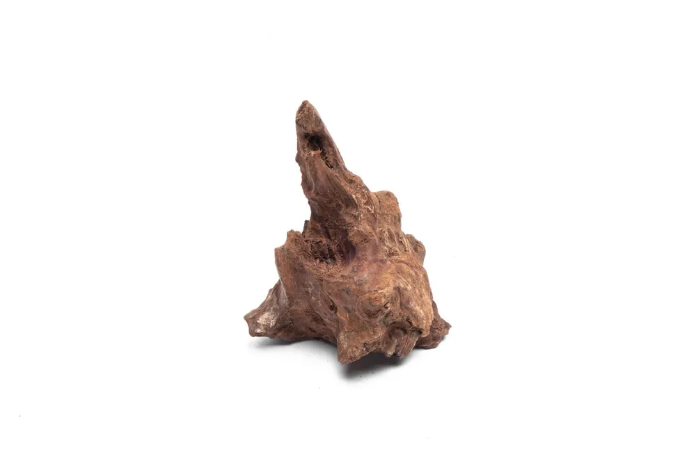 Driftwood Stump (Extra Extra Small) - UNSBONSAI
